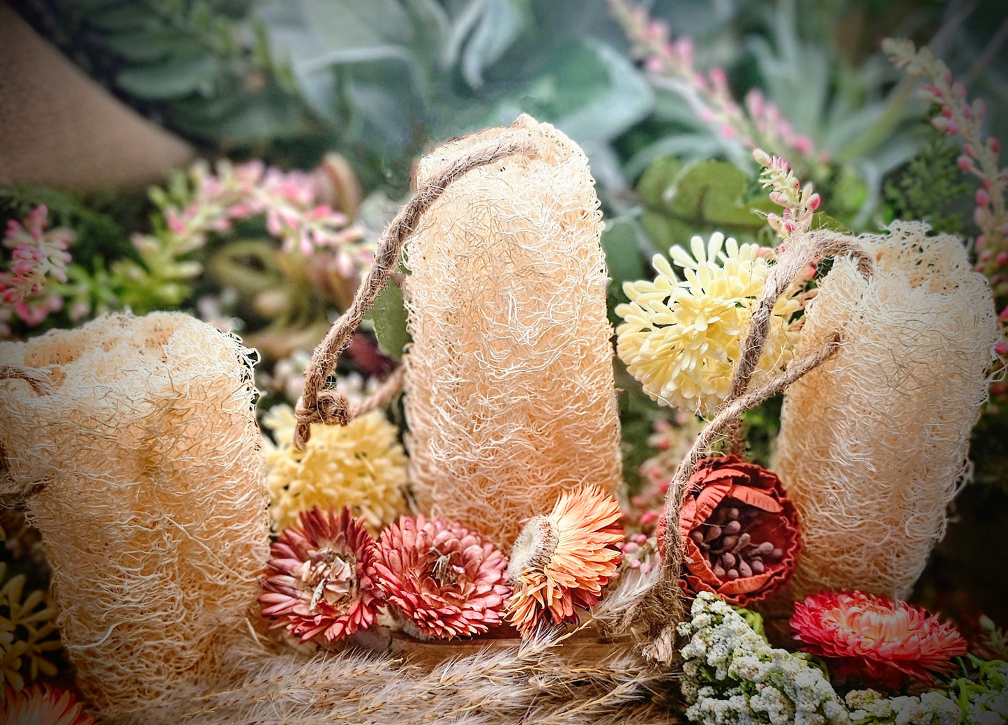Organic Loofah